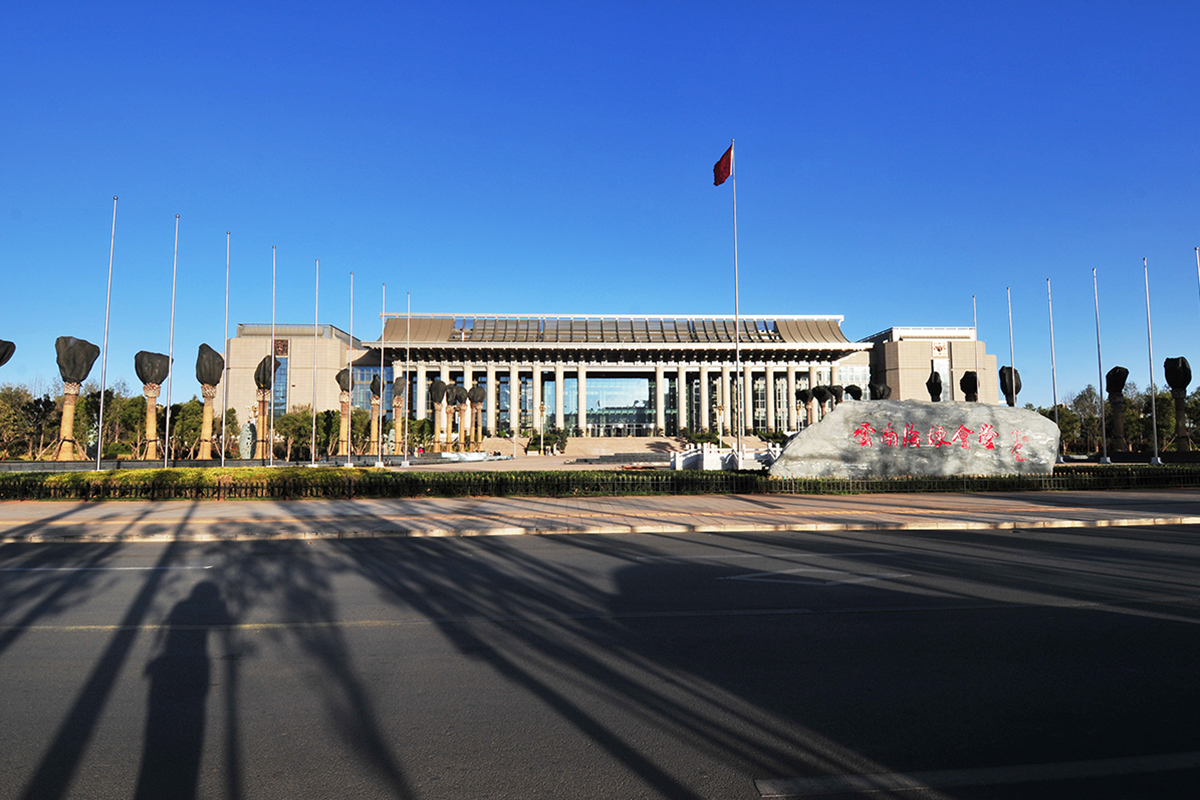 岳的大肥坹毛茸茸