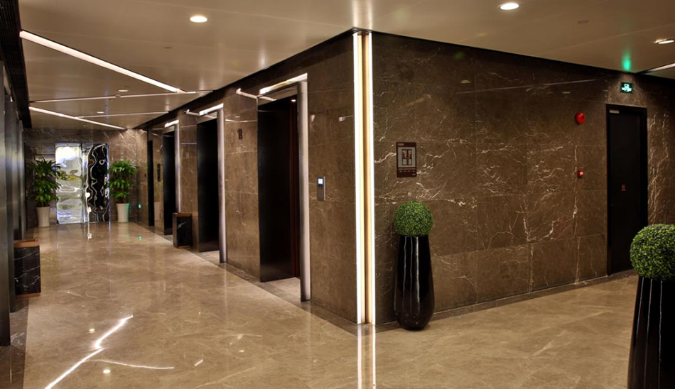 岳的大肥坹毛茸茸