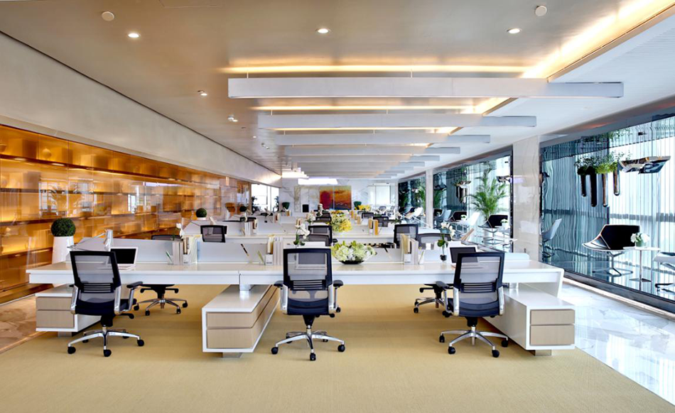 岳的大肥坹毛茸茸