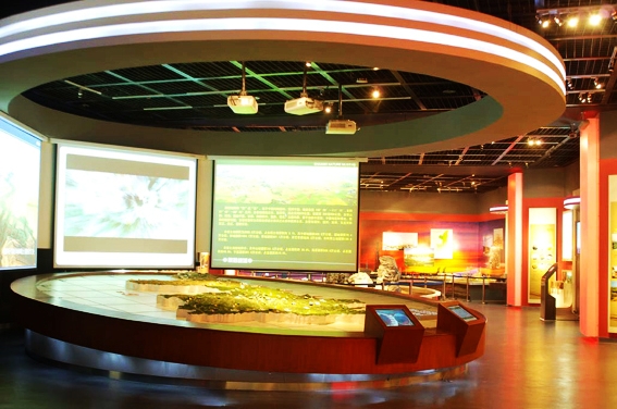 岳的大肥坹毛茸茸