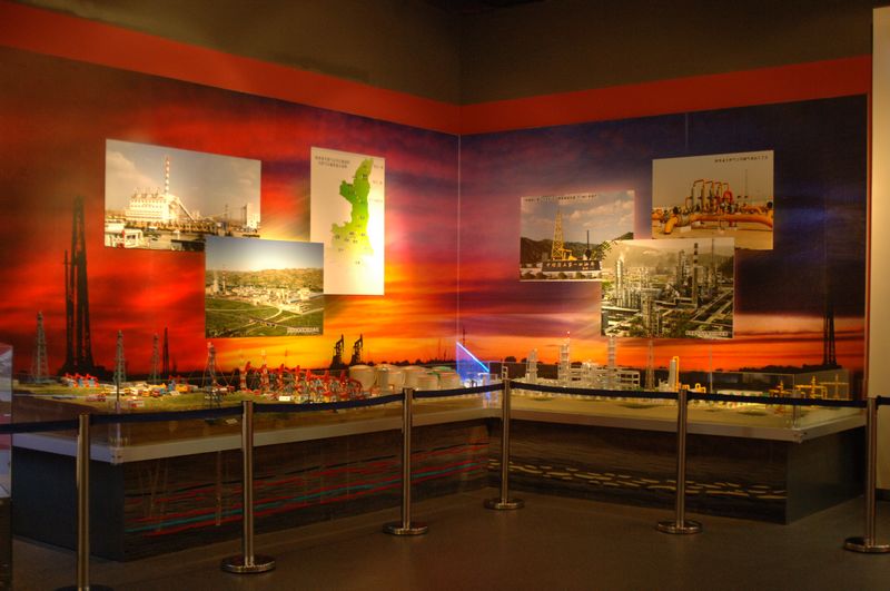 岳的大肥坹毛茸茸